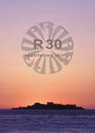 r30.jpg